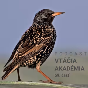 Pozývame vás na vtáčie jednohubky!