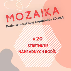 Mozaika 20 - O stretnutí nerómskych náhradných rodín, ich rómskych detí a dobrovoľných poradcov