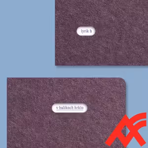 Lyrik H: V balíkoch hrklo