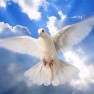 Prosme o dary Ducha svatého