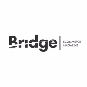 Ecommerce Bridge UPDATE 45/2022
