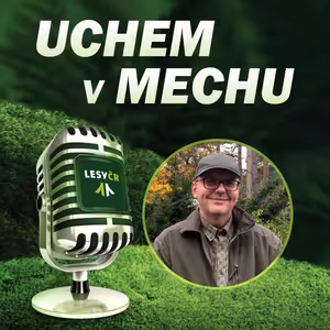 O obnově porostů po kalamitě s ředitelem Semenářského závodu Milošem Pařízkem