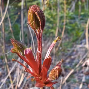 Věda se vyhýbá experimentům