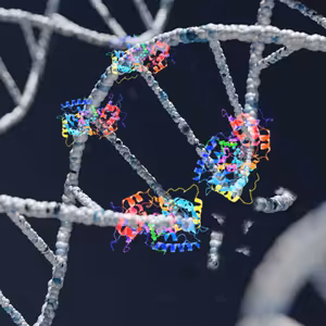 Bonus 2: Zastavenie starnutia - obnovenie spojenia s telom na najhlbších úrovniach