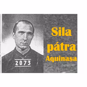 Sila pátra Aquinasa