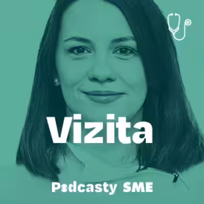 Vizita
