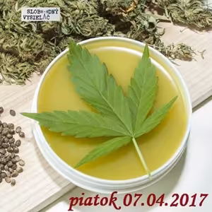 Riešenia a alternatívy 14 - 2017-04-07 Zdravotné účinky konopy