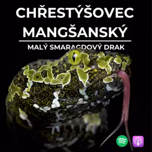 69: Malý smaragdový drak | Chřestýšovec mangšanský