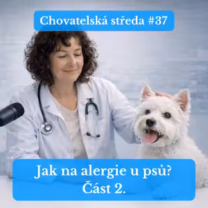👩‍⚕️ Jak na ALERGIE u PSŮ (část 2.) 👩‍⚕️ | Chovatelská středa #37