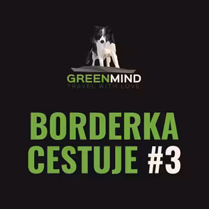 Co vše můžete naučit psa během procházky / výletu?