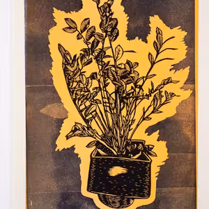 Oči dokorán pre Pala Čejku