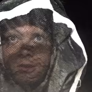 Africký deník 13: O žihadlech a medobraní