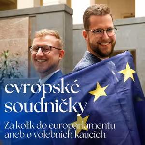 Za kolik do europarlamentu aneb o volebních kaucích