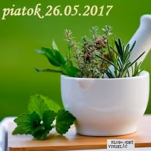 Riešenia a alternatívy 21 - 2017-05-26 Liečenie rastlinami