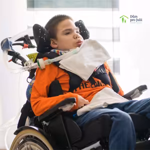 Viktor. Zdi a režim.