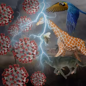 Koronavirus vs. Životní prostředí