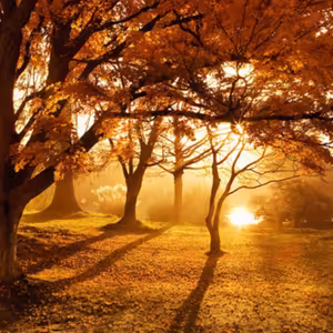 Dopoludnie na Infovojne s Adrianom 27.9.2022