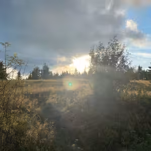 O lakomstvi, Facebooku, štědrosti a ekonomii Starého Zákona.