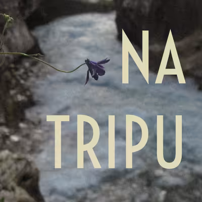 NA TRIPU