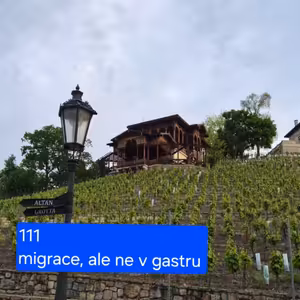 111 migrace, ale ne v gastru