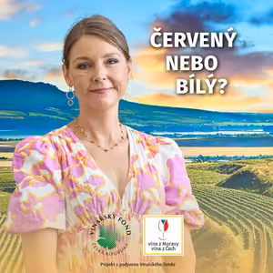 032: Lenka Sedláčková o cestě k titulu Master of Wine, britském trhu a měnícím se Česku