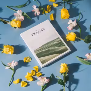 Modlitby Božích dětí, Římanům 8,15-17 a 26-27