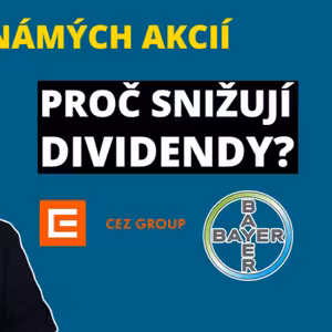 12 dividendových akcií. Lekce pro investora
