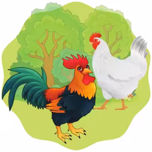 O slepičce a kohoutku