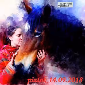 Riešenia a alternatívy 85 - 2018-09-14 Hypoterapia…