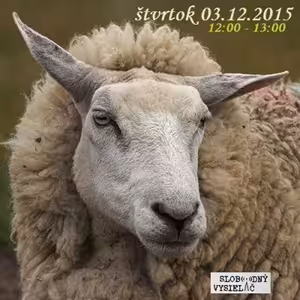 Motorové myši 55 - 2015-12-03 smrdíš ako zmoknutá ovca – pachy vs. človiečikovia…