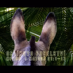 Mesiáš podle Matouše 59 - Oslíkovo poselství - Bohuslav Wojnar (18.5.2014)