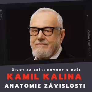 ANATOMIE ZÁVISLOSTI - KAMIL KALINA