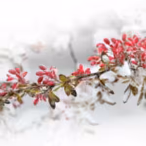 HOROSKOPY: Býci, radost vám udělá partner i rodina, volný průběh má mít láska