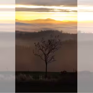 Štvrtok vo Veľkonočnej oktáve