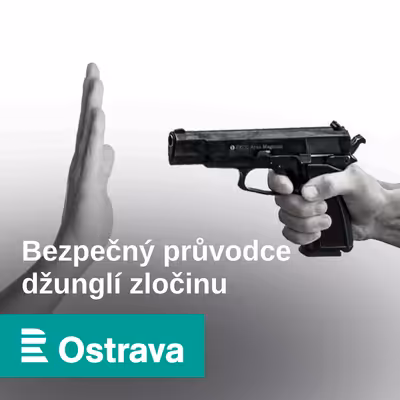 Bezpečný průvodce džunglí zločinu