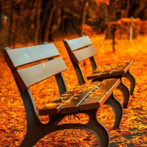 Dopoludnie na Infovojne s Adrianom 7.11.2024