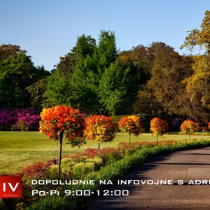 Dopoludnie na Infovojne s Adrianom 13.5.2025