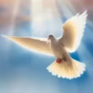 Víťazstvo v Kristovi - PhDr. Imrich Degro, PhD.